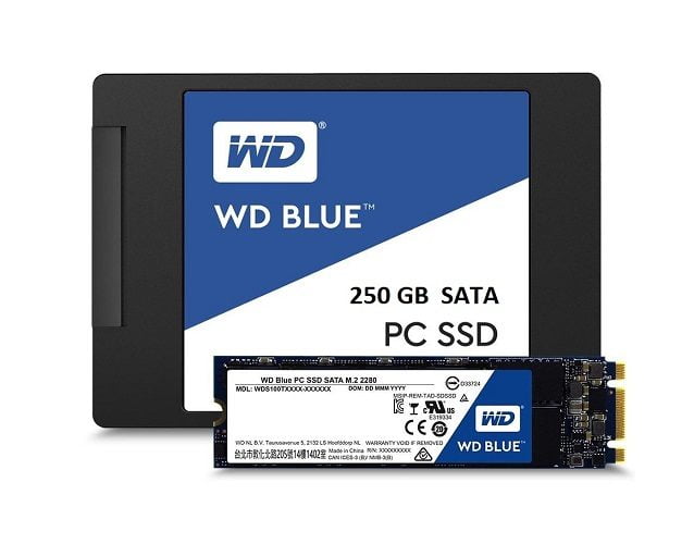 Ổ cứng WD SSD/ M2 gắn trong 